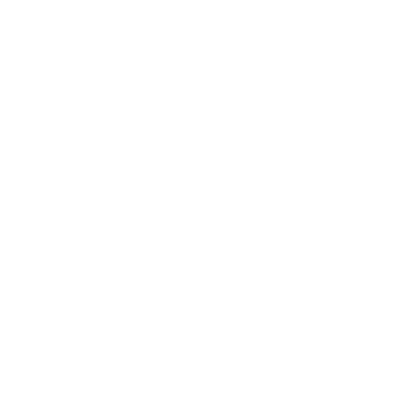 Brain Icon